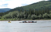 Après Dawson la partie "classique" de la rivière se termine. Je rencontre malgré tout encore des kayakistes avant Eagle et Circle.